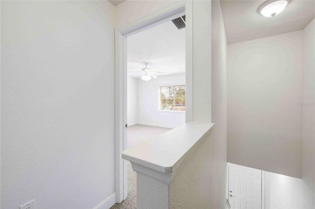 14221 PABLO BOULEVARD, Spring Hill, FL 34609