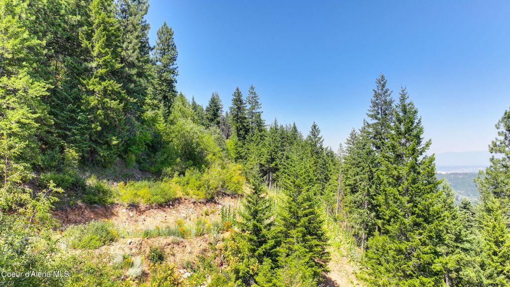 NKA Juniper Ln, Naples, ID 83847 photo 11