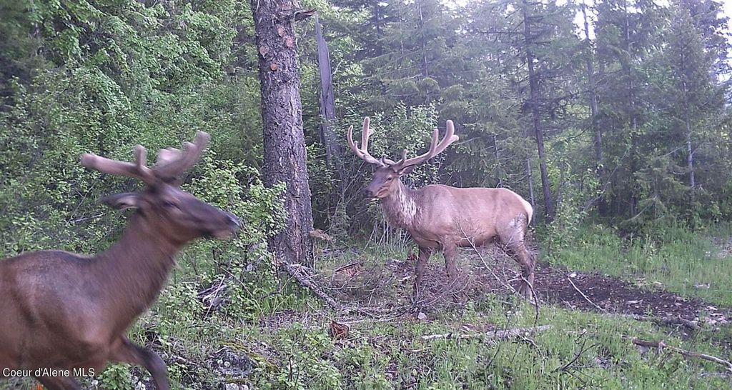 NKA Juniper Ln, Naples, ID 83847 photo 23