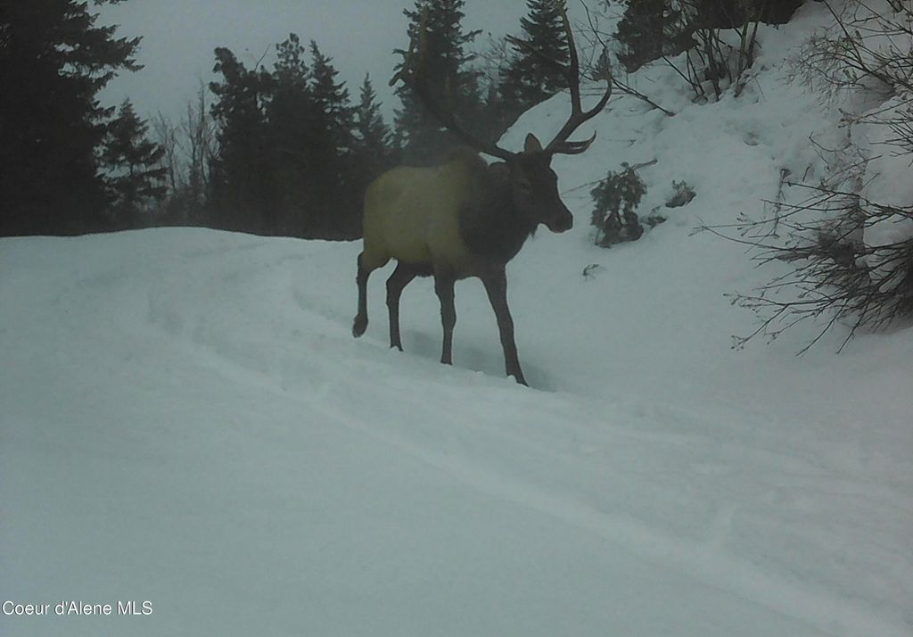 NKA Juniper Ln, Naples, ID 83847 photo 24