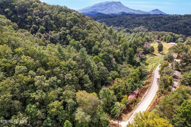 1316 River Divide Rd, Sevierville, TN 37862