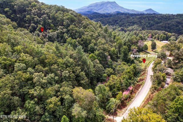 1316 River Divide Rd, Sevierville, TN 37862