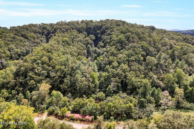 1316 River Divide Rd, Sevierville, TN 37862
