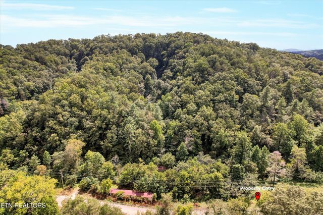 1316 River Divide Rd, Sevierville, TN 37862