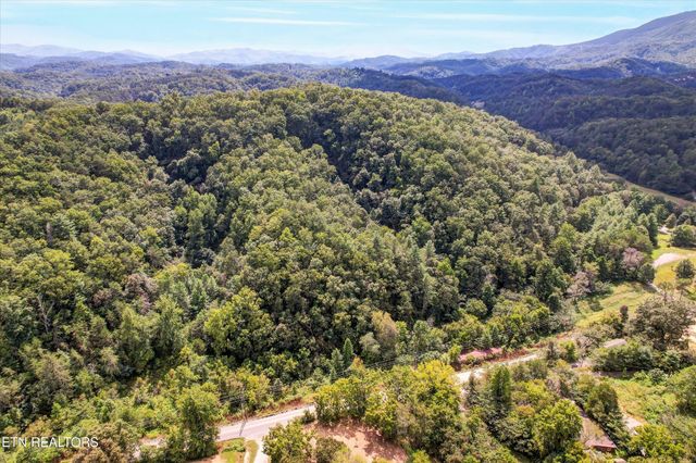 1316 River Divide Rd, Sevierville, TN 37862