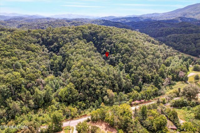 1316 River Divide Rd, Sevierville, TN 37862