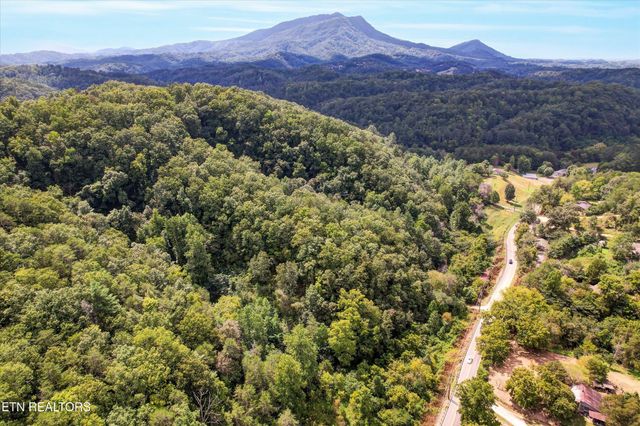 1316 River Divide Rd, Sevierville, TN 37862