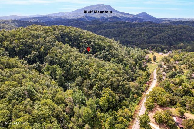 1316 River Divide Rd, Sevierville, TN 37862