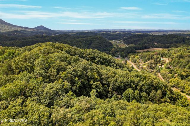 1316 River Divide Rd, Sevierville, TN 37862