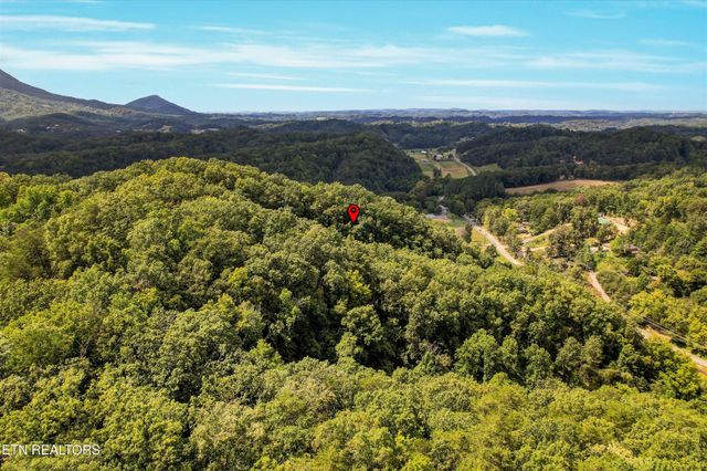 1316 River Divide Rd, Sevierville, TN 37862