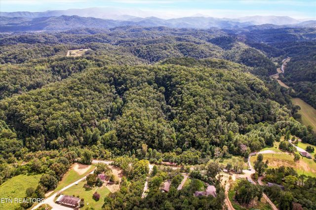 1316 River Divide Rd, Sevierville, TN 37862
