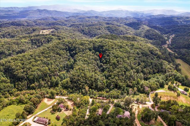 1316 River Divide Rd, Sevierville, TN 37862