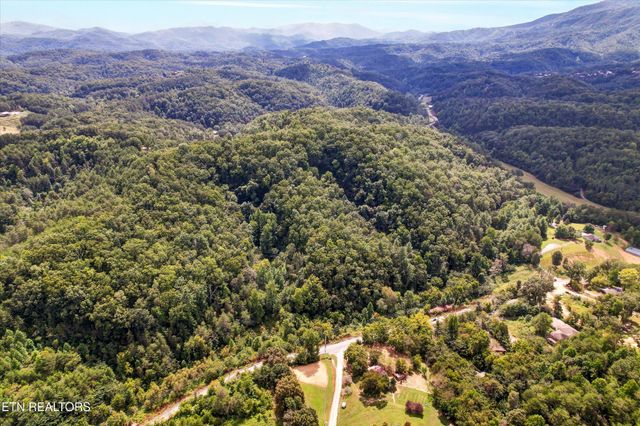 1316 River Divide Rd, Sevierville, TN 37862