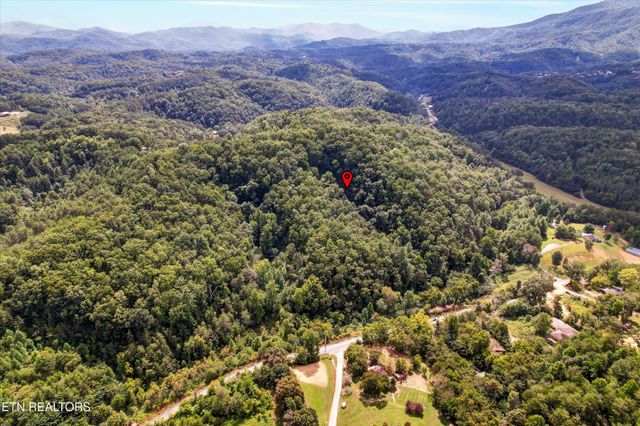 1316 River Divide Rd, Sevierville, TN 37862