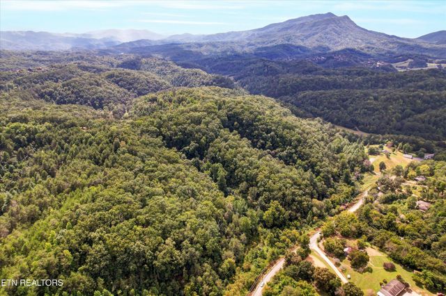 1316 River Divide Rd, Sevierville, TN 37862