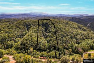 1316 River Divide Rd, Sevierville, TN 37862