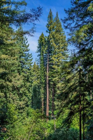 12 Summit Road, Woodside, CA 94062