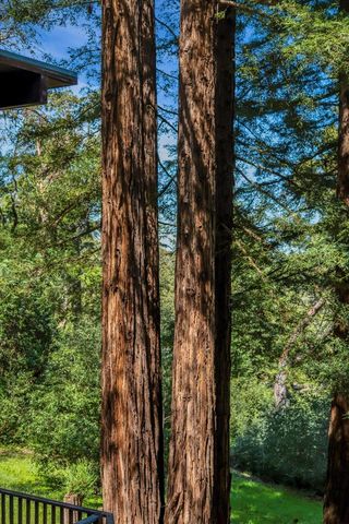 12 Summit Road, Woodside, CA 94062