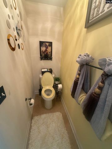 11 Grouse Court, Blythewood, SC 29016