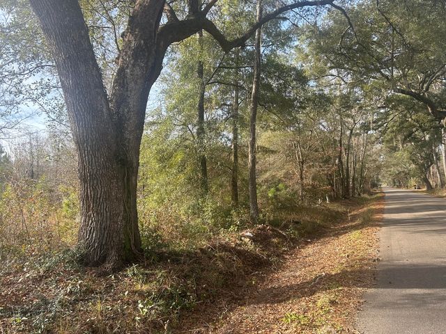 1 Old Jacksonboro Road, Ravenel, SC 29470