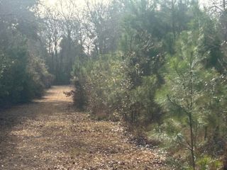 1 Old Jacksonboro Road, Ravenel, SC 29470