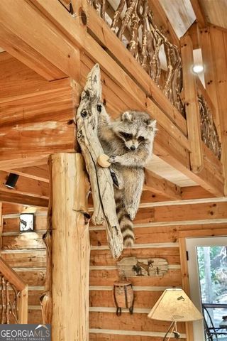325 Whitewater Falls Trail, Ellijay, GA 30540