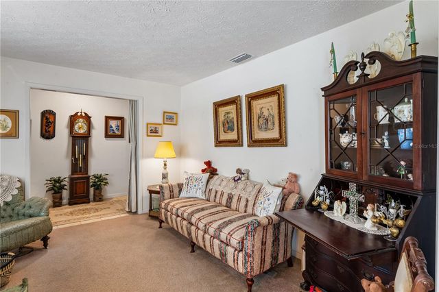 10739 DRUMMOND ROAD, Tampa, FL 33615