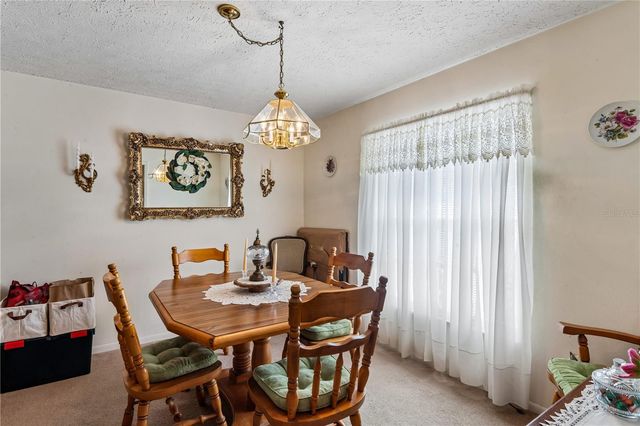 10739 DRUMMOND ROAD, Tampa, FL 33615