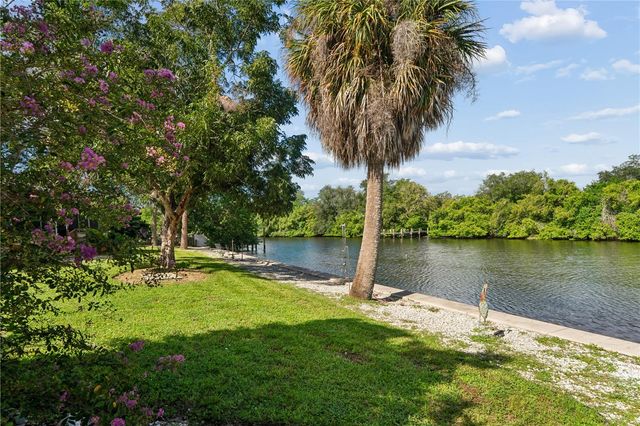 10739 DRUMMOND ROAD, Tampa, FL 33615