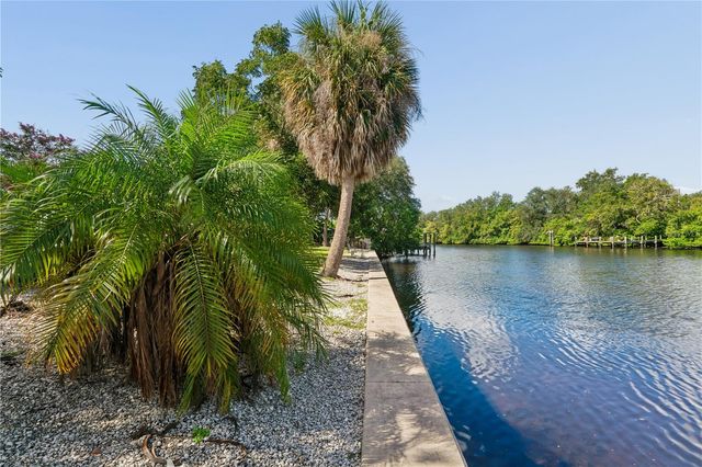 10739 DRUMMOND ROAD, Tampa, FL 33615