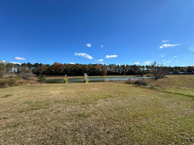 2585 Stirrup Lane, Dalzell, SC 29040