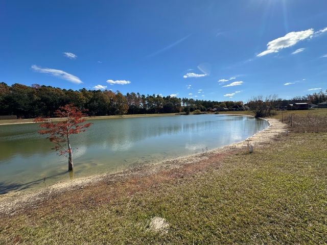 2585 Stirrup Lane, Dalzell, SC 29040