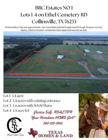 Lot 4 Ethel Cemetery Road, Collinsville, TX 76233