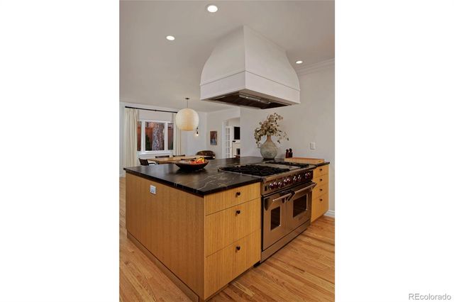 590 Race Street, Denver, CO 80206