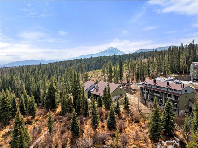 10500 Ryan Gulch Rd J-J-106, Silverthorne, CO 80498