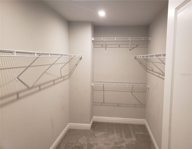 17623 LEDGER LINE LANE, Lutz, FL 33558