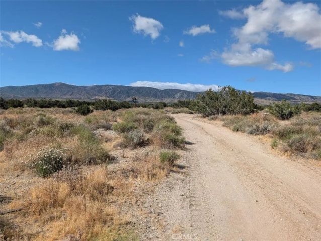 33 Antelope, Llano, CA 93544