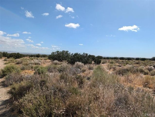 33 Antelope, Llano, CA 93544