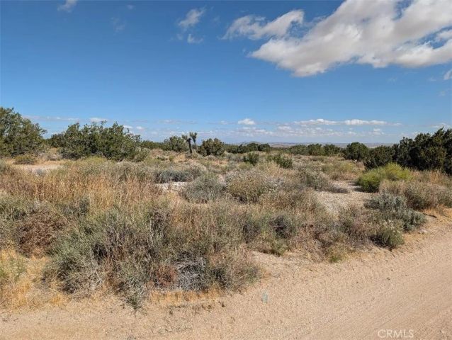 33 Antelope, Llano, CA 93544