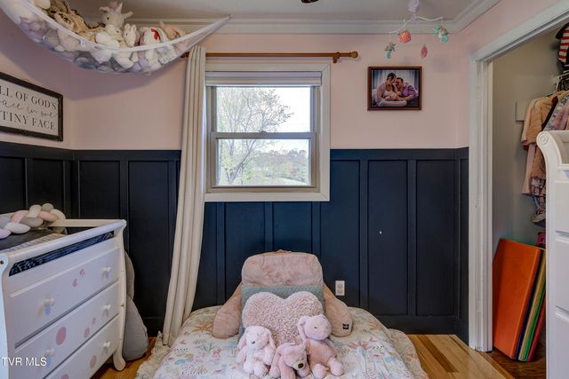 335 Pleasant Hill Place, Bluff City, TN 37618