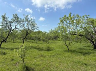 TBD 00 County Road 4160, Frost, TX 76641