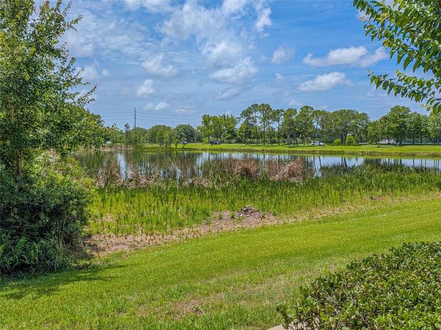 10409 CRIMSON PARK LANE 110, Tampa, FL 33626