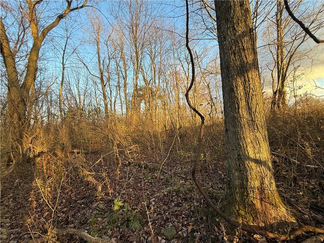 8096 104a, Wolcott, NY 14590