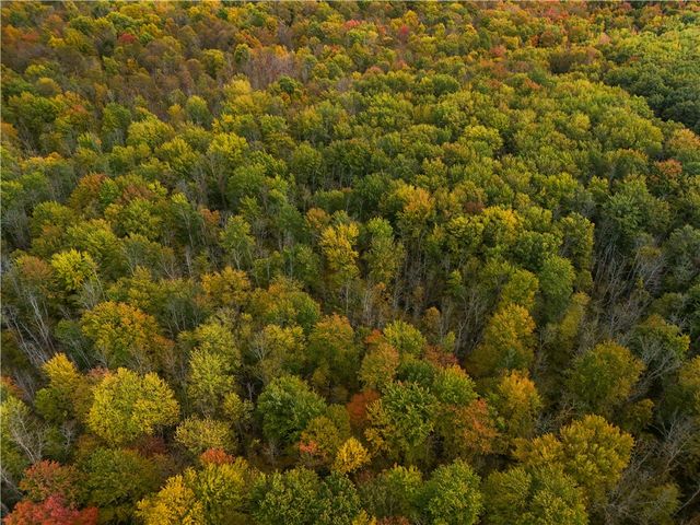 8096 104a, Wolcott, NY 14590