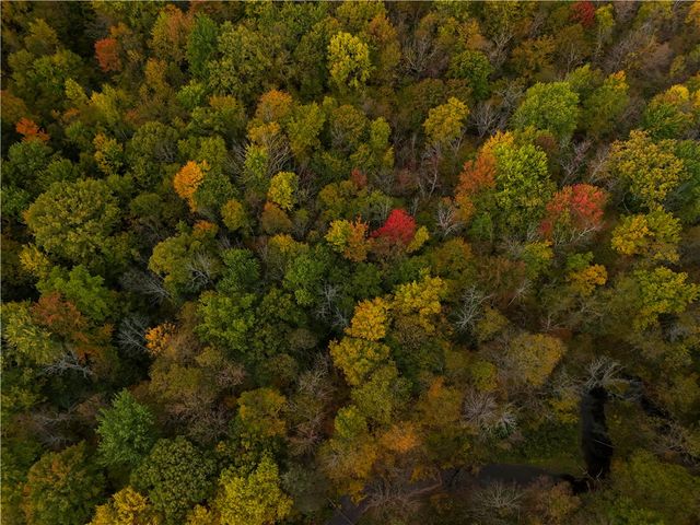 8096 104a, Wolcott, NY 14590