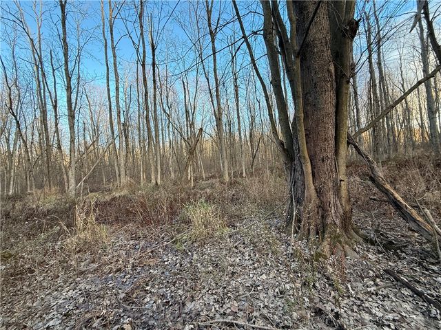 8096 104a, Wolcott, NY 14590