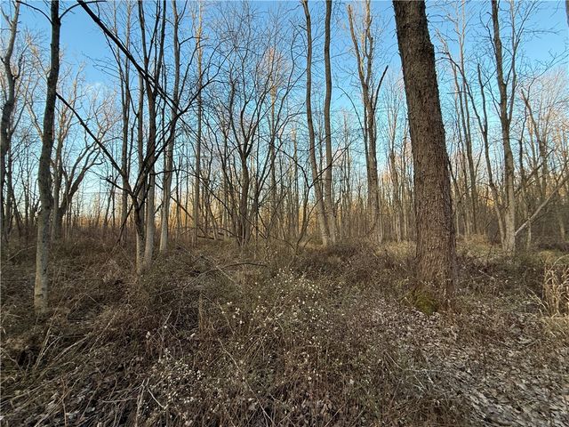 8096 104a, Wolcott, NY 14590