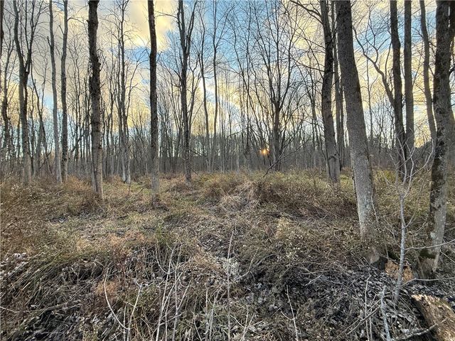 8096 104a, Wolcott, NY 14590