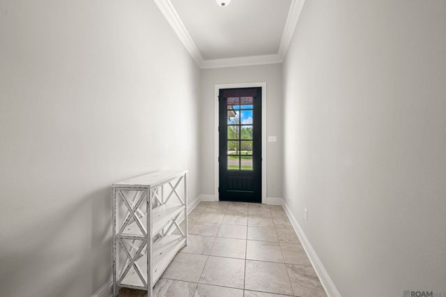 39054 Old Tree Dr, Prairieville, LA 70769
