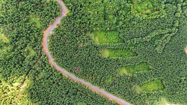 0 Worley Road Lot 2, Soddy Daisy, TN 37379